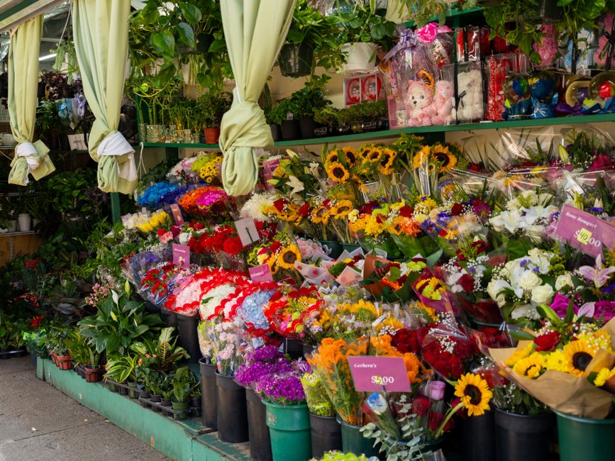 A vibrant outdoor flower stall displaying a wide variety of freshly cut flowers arranged in black buckets and bouquets. The arrangement includes bright sunflowers, red and pink roses, purple chrysanth