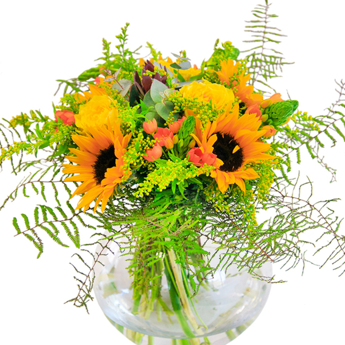The moment your eyes land on this bouquet, you sense a wave of golden cheer-sunflowers and yellow roses smiling side by side in a vivid study of colour and form. Anchored in a clear, round glass vase, the arrangement's sturdy stems are visible beneath the surface, recalling the clarity of fresh water along West Drayton's canal walks. Sunflowers command the spotlight, their bold, dark centers and fringed petals alive with energy, while the garden roses-each a tightly wrapped spiral of soft yellow-lend sophistication and softness. Dotting the bouquet, tiny red Hypericum berries offer a playful visual contrast, reminiscent of hidden wild fruit along Yiewsley's border trails. The bouquet's foliage tumbles gently down: ferns sweep in arcs and light-green sprigs tipped with yellow flowers suggest wild meadows after rainfall, just outside the village. Blue-tinged eucalyptus leaves add a cooling touch to the rich palette. As sunlight plays across the pristine white background, every detail is magnified; you can almost feel the fresh, clean air. Created for birthdays, anniversaries, or the sheer delight of brightening a loved one's home, this is a quintessential West Drayton arrangement-imbued with thoughtful craftsmanship and a sense of community spirit.